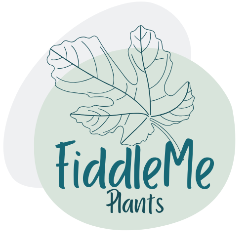 Fiddle Me Plants